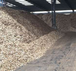木质纤维素生物炼油厂概念中的纸浆原材料