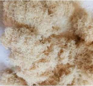 木纤维粉在造纸方面的用途