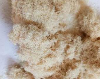 木纤维粉有哪些特征